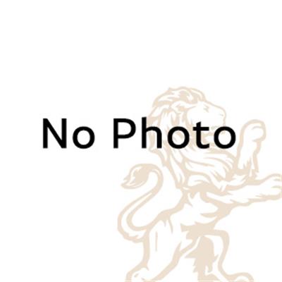 CC Slotted Cup Burs